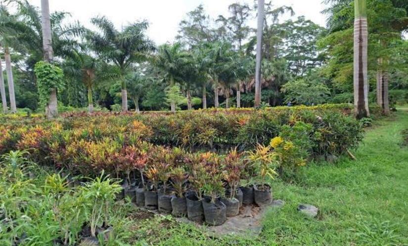 Viveros-del-Pueblo-13