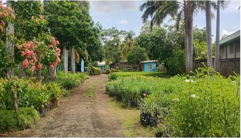 Viveros-del-Pueblo-15