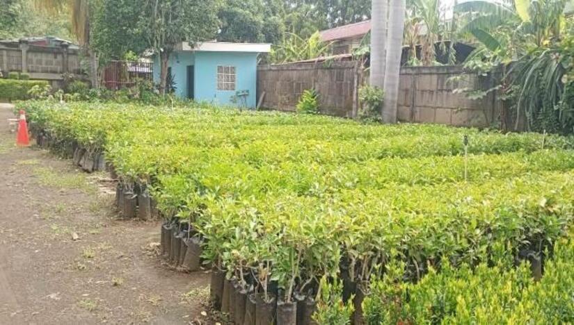 Viveros-del-Pueblo-16