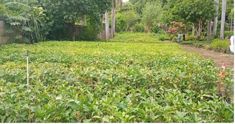 Viveros-del-Pueblo-17