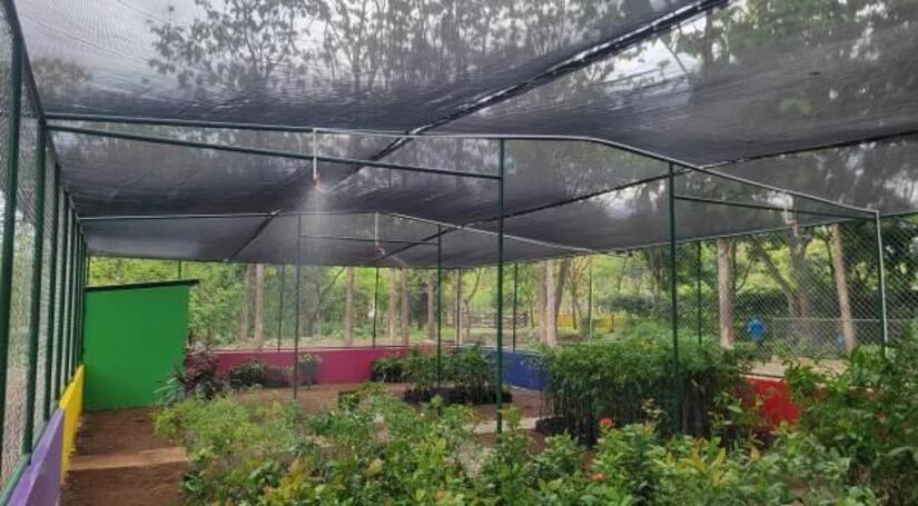 Viveros-del-Pueblo-3