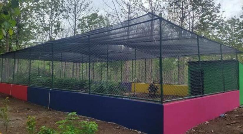 Viveros-del-Pueblo-4