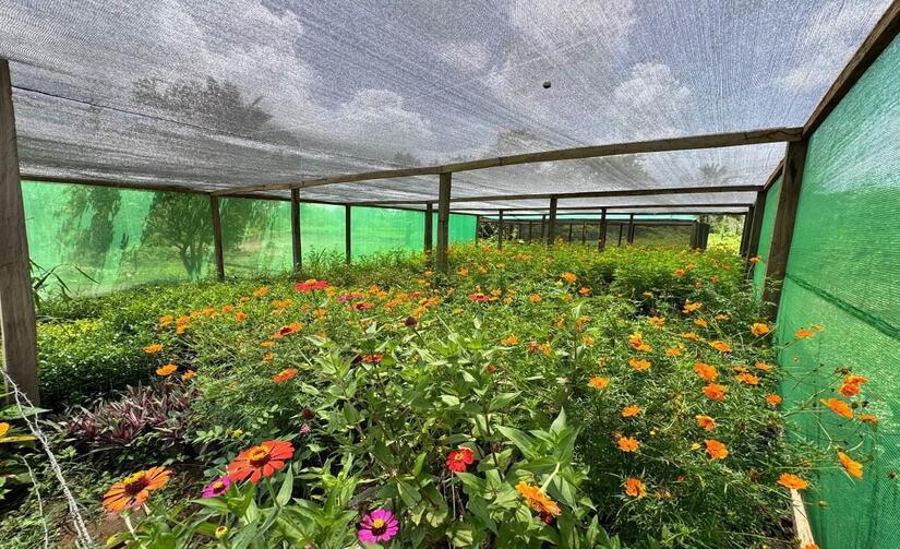 Viveros-del-Pueblo-6