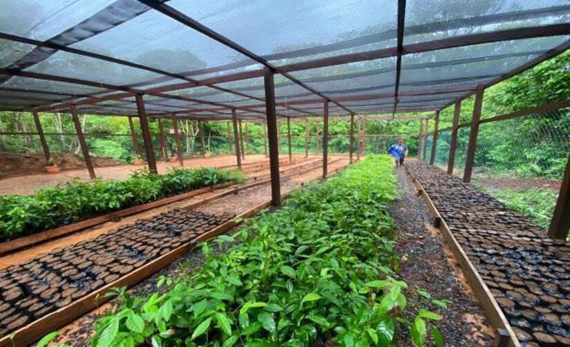 Viveros-del-Pueblo-9