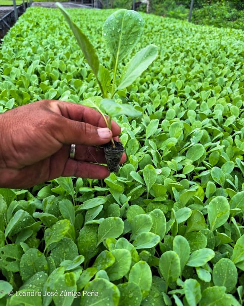 Productores-de-Jinotega-1