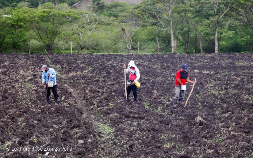 Productores-de-Jinotega-14