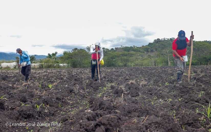 Productores-de-Jinotega-15