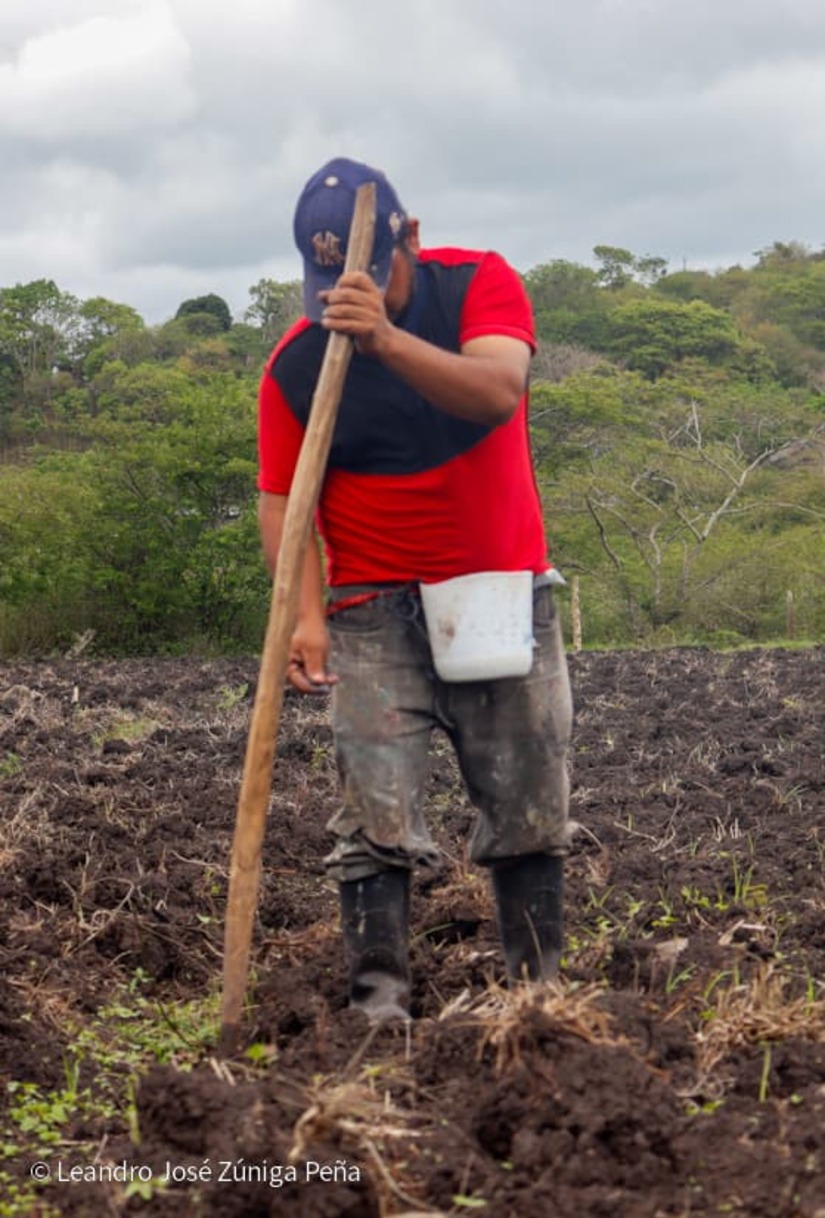 Productores-de-Jinotega-16