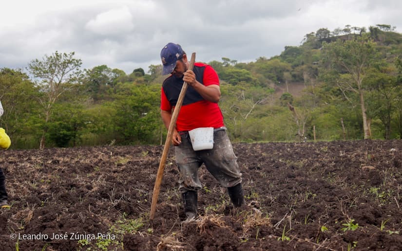 Productores-de-Jinotega-17