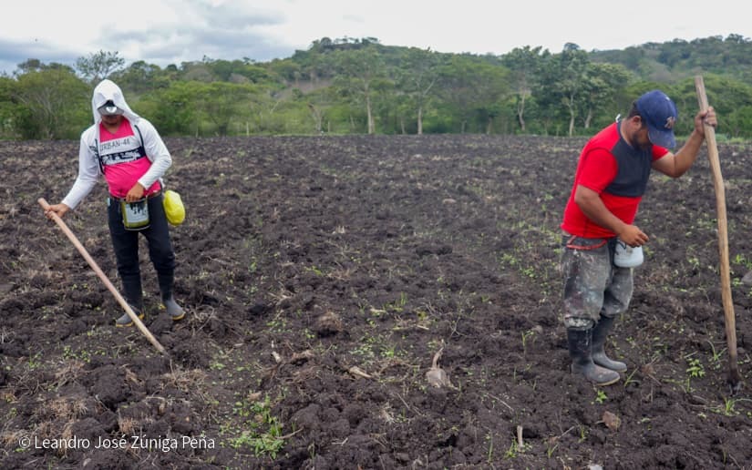 Productores-de-Jinotega-18