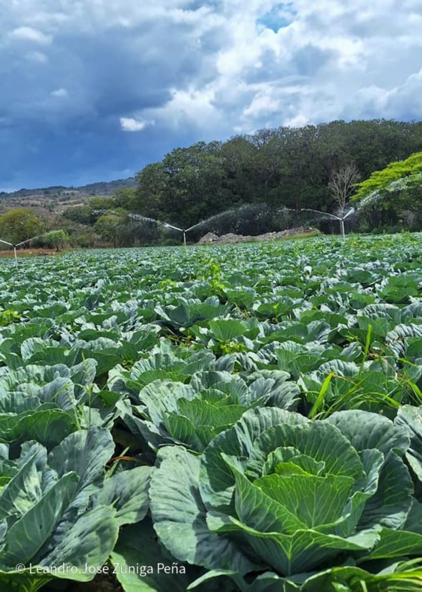 Productores-de-Jinotega-2