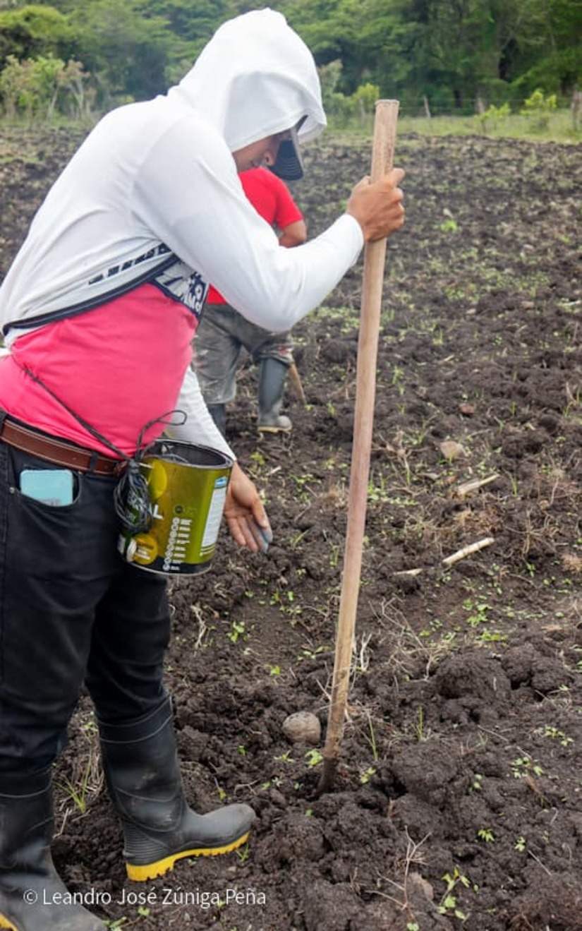 Productores-de-Jinotega-20
