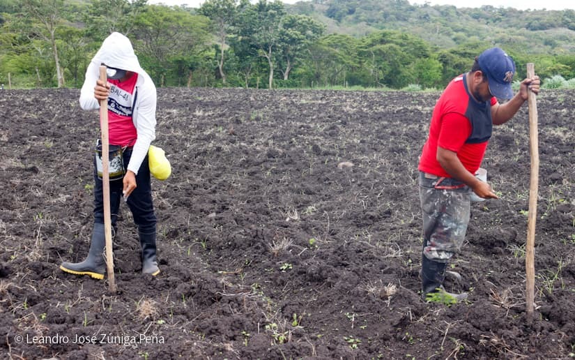 Productores-de-Jinotega-21