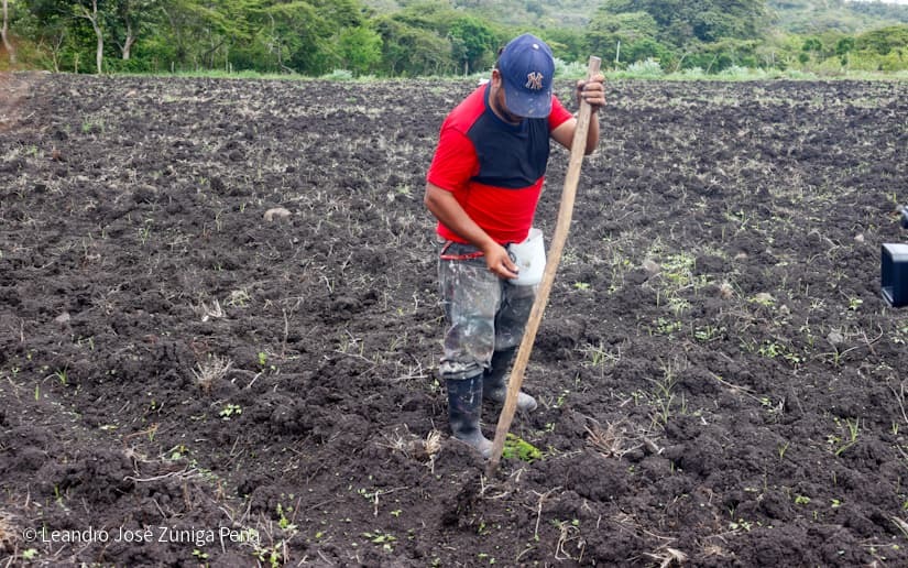 Productores-de-Jinotega-22