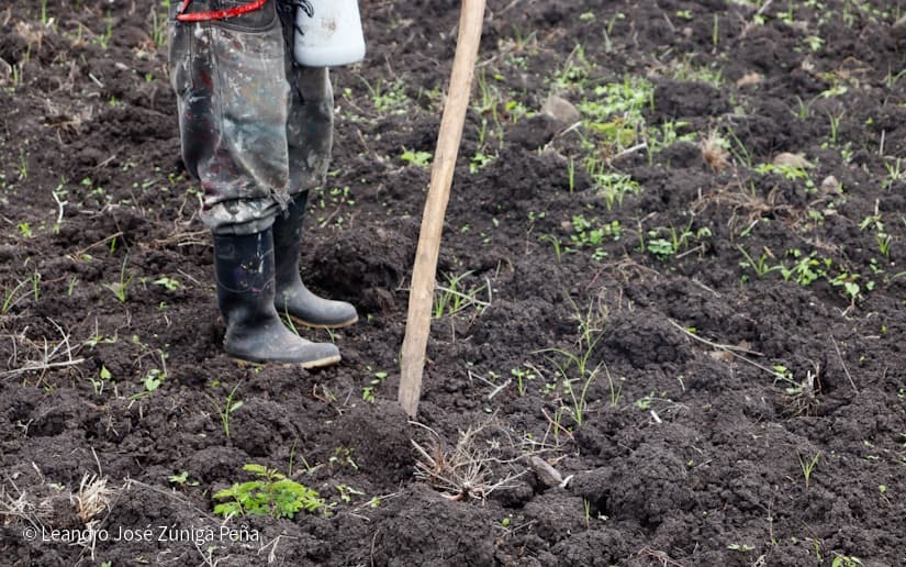 Productores-de-Jinotega-23