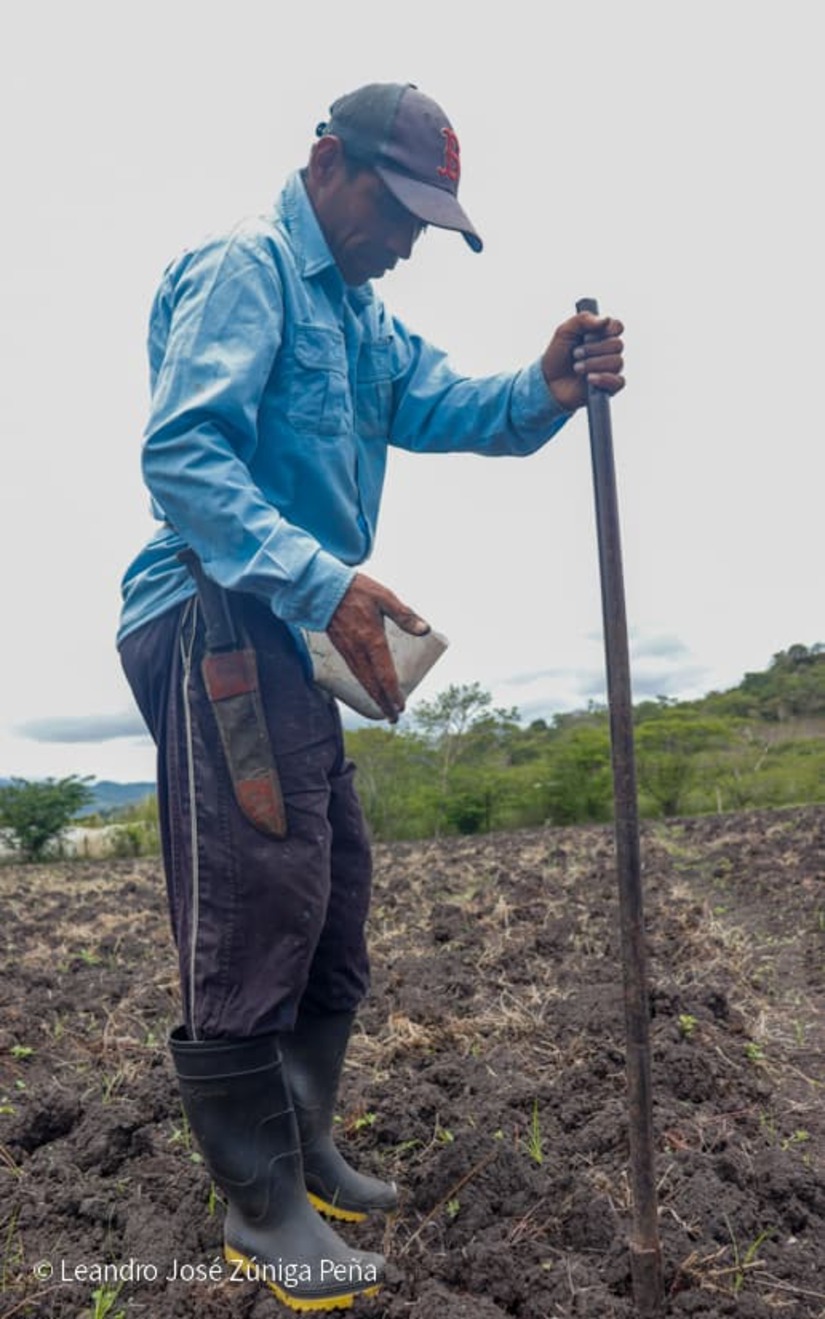 Productores-de-Jinotega-24