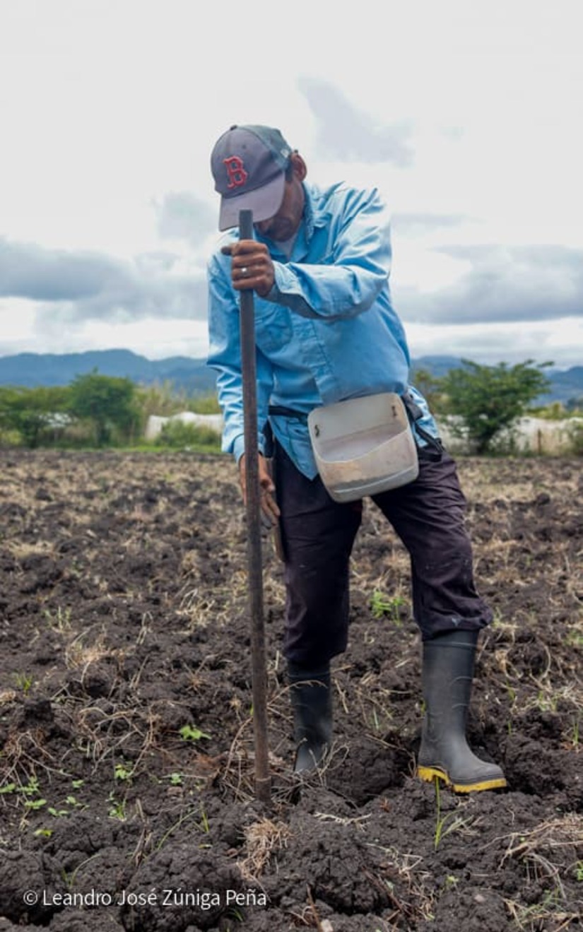 Productores-de-Jinotega-26