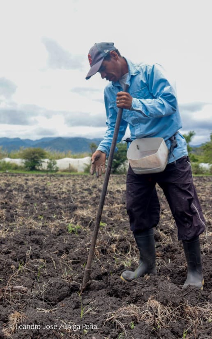Productores-de-Jinotega-27