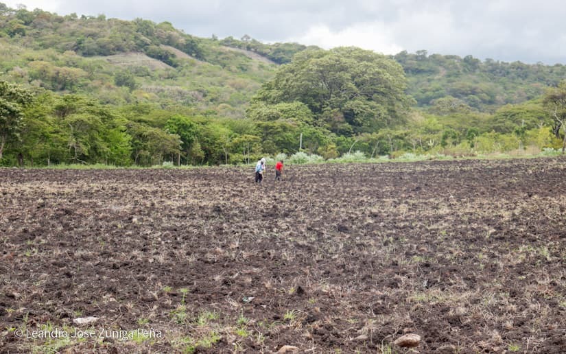 Productores-de-Jinotega-28