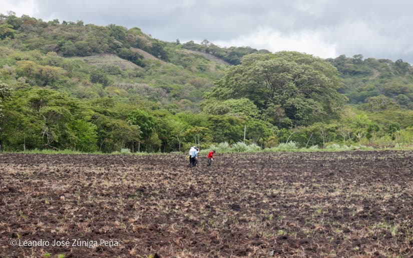 Productores-de-Jinotega-29