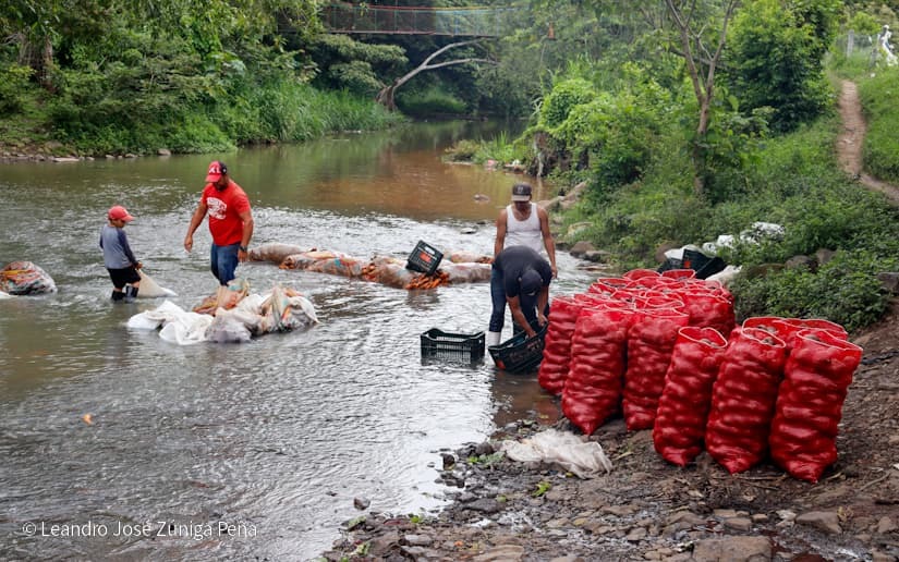 Productores-de-Jinotega-31