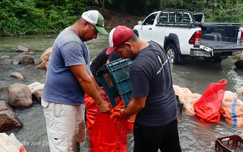 Productores-de-Jinotega-32
