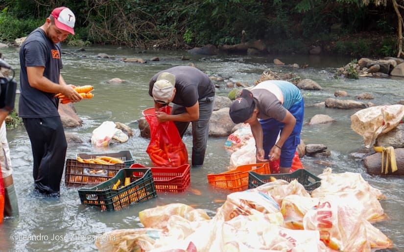 Productores-de-Jinotega-35