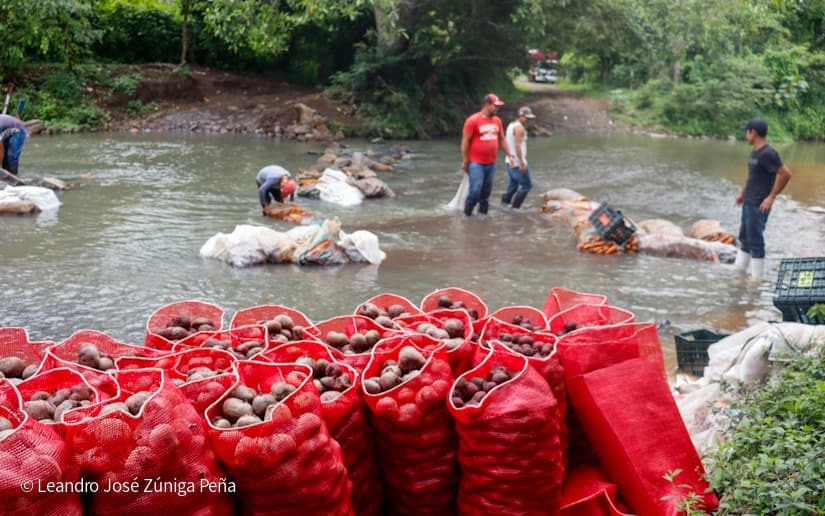 Productores-de-Jinotega-37