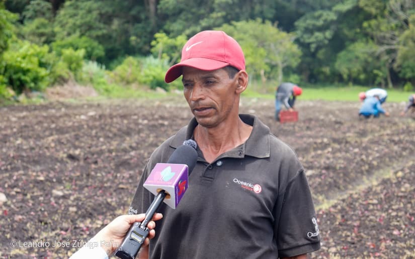 Productores-de-Jinotega-40