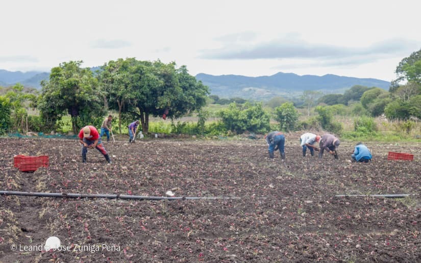 Productores-de-Jinotega-49