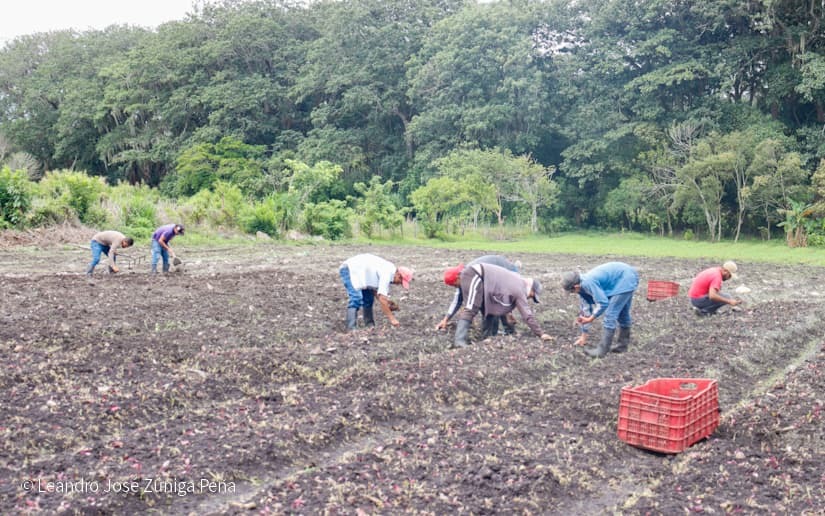 Productores-de-Jinotega-52