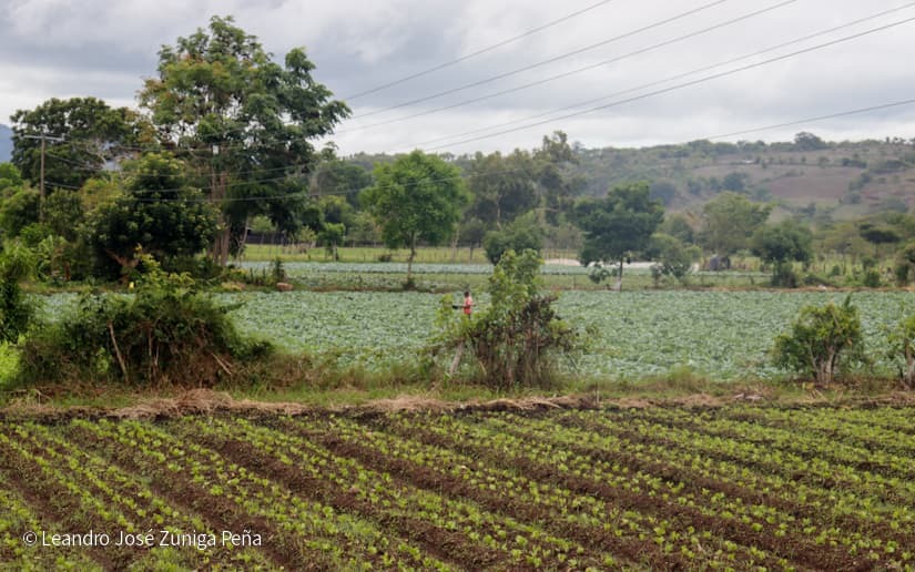 Productores-de-Jinotega-68
