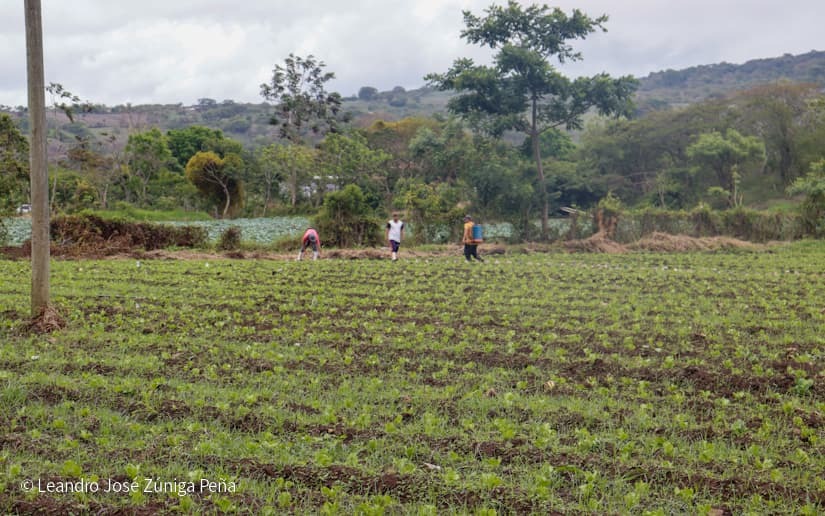 Productores-de-Jinotega-70