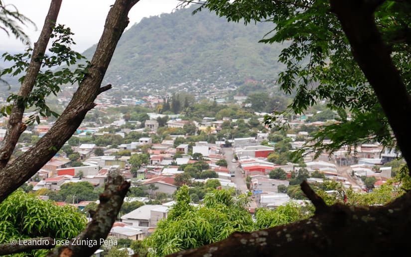 Productores-de-Jinotega-76