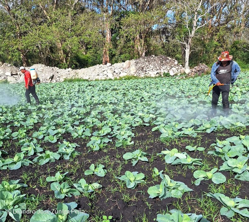 Productores-de-Jinotega-8