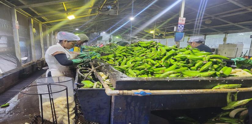 MINISTERIO-AGROPECUARIO-2