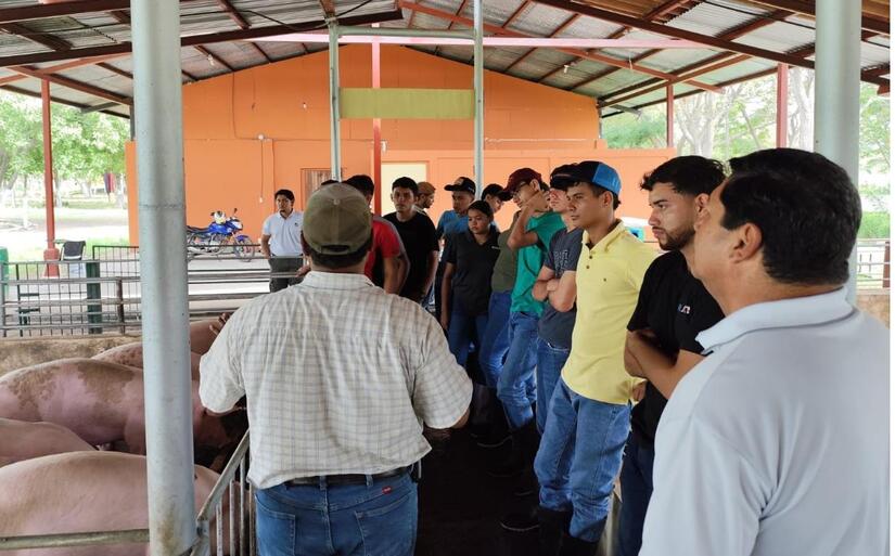 Programa-Porcino-Cocibolca-2