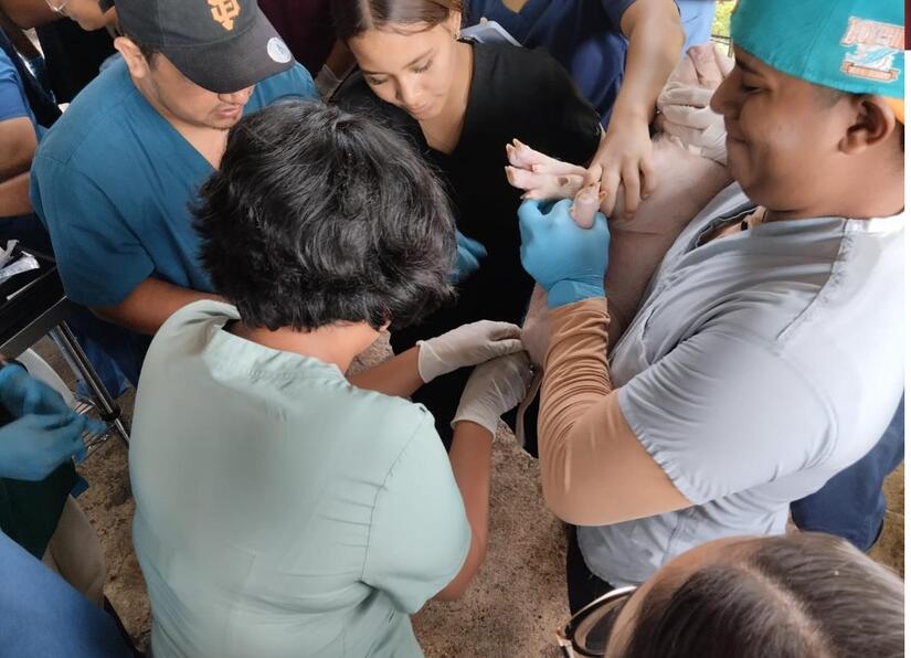 Programa-Porcino-Cocibolca-3