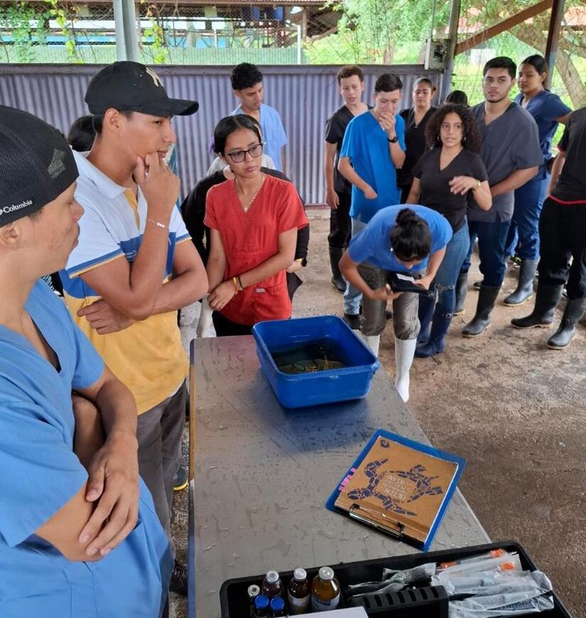 Programa-Porcino-Cocibolca-4