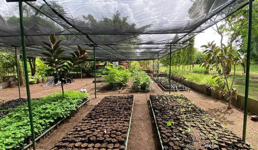 Viveros-Municipales-1