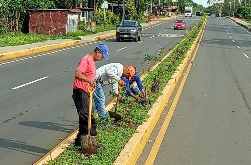 Viveros-Municipales-14