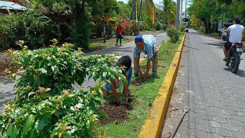 Viveros-Municipales-16