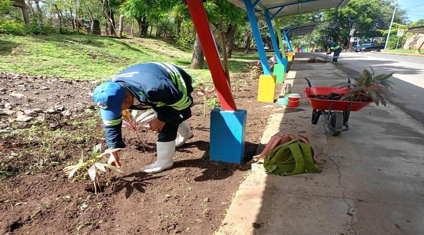 Viveros-Municipales-19