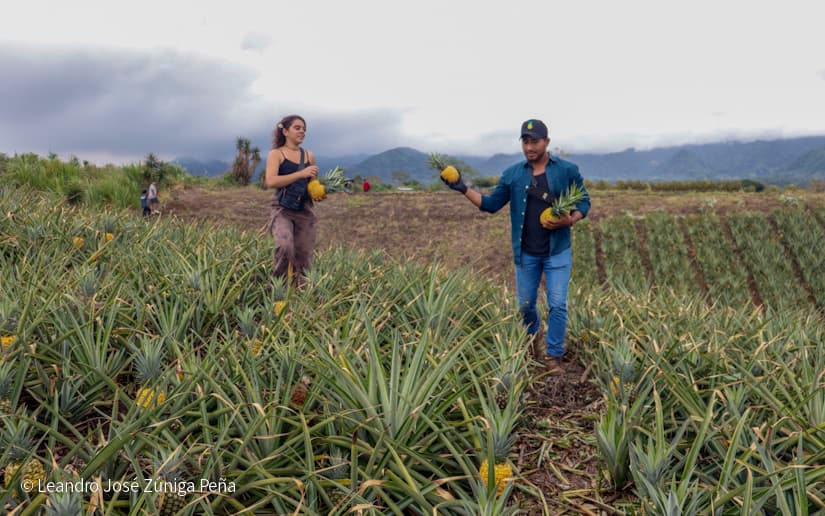 Pinaco-en-Ticuantepe-14