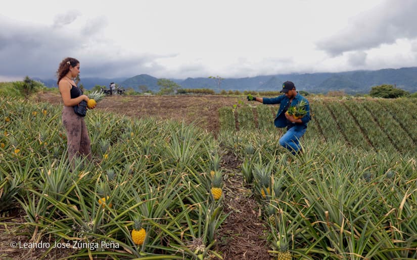 Pinaco-en-Ticuantepe-15
