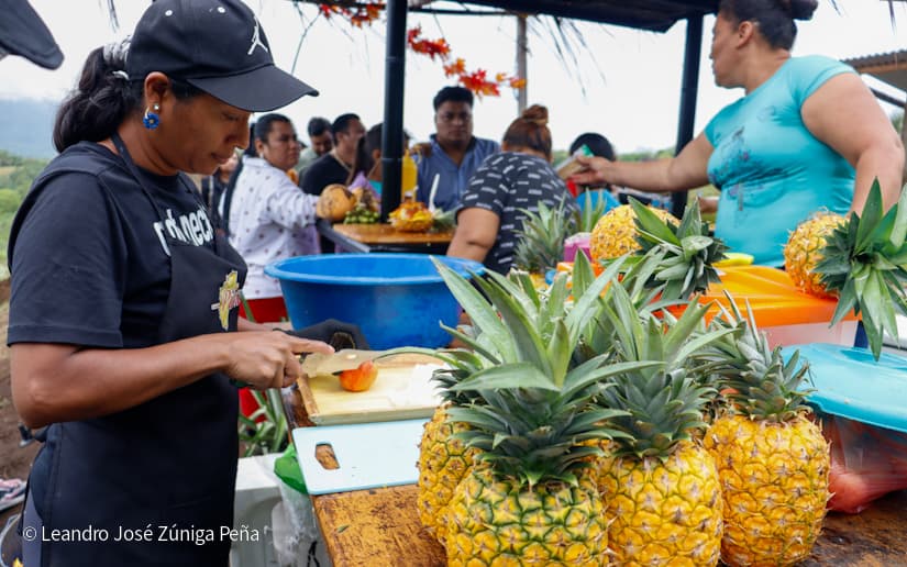 Pinaco-en-Ticuantepe-33