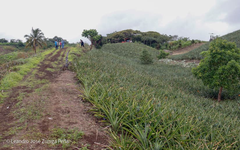 Pinaco-en-Ticuantepe-46