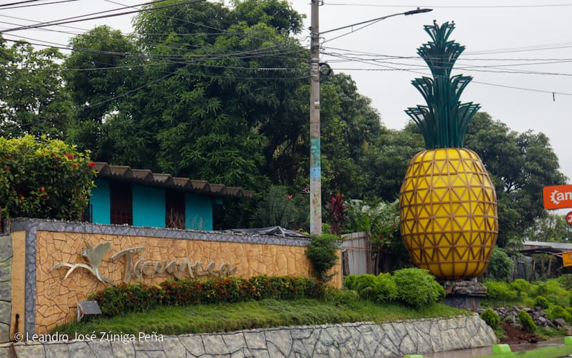 Pinaco-en-Ticuantepe-5