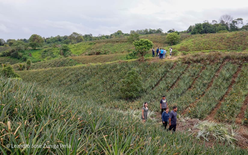 Pinaco-en-Ticuantepe-50