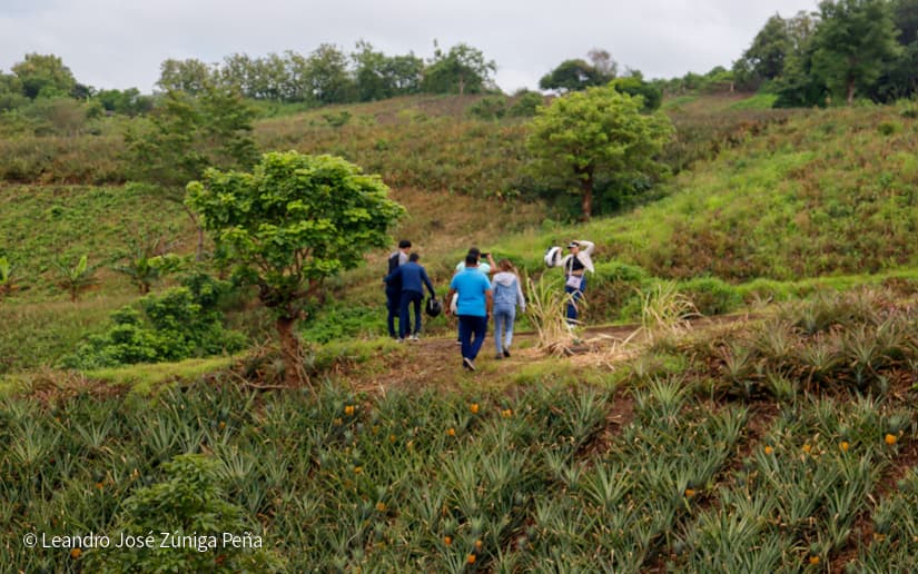 Pinaco-en-Ticuantepe-52